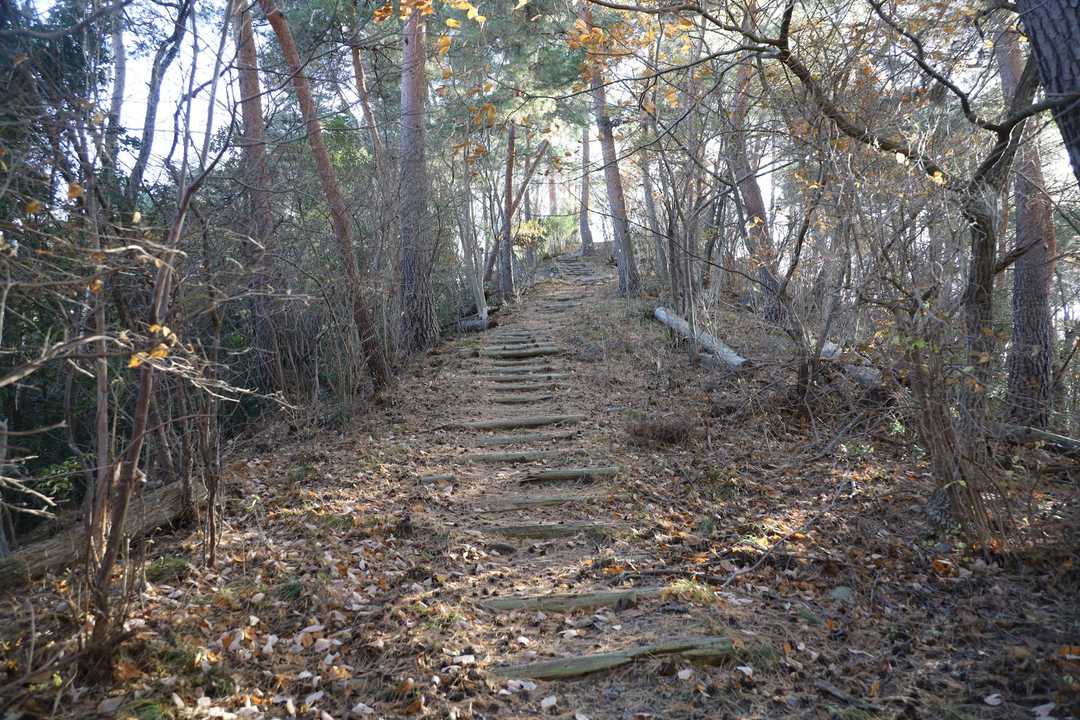 小松山への登り返し