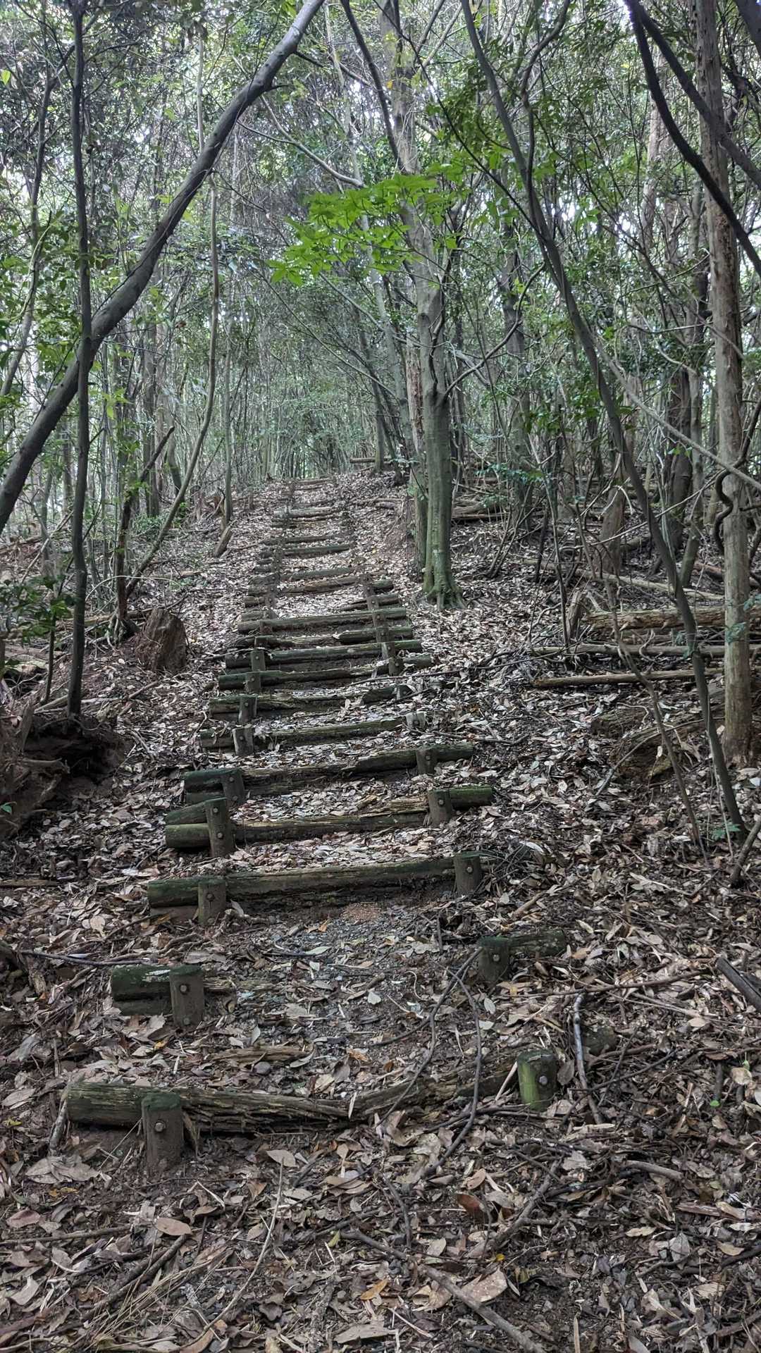 下山します
