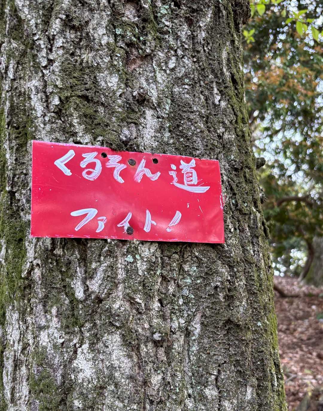 おお、チカラのわく道標❗️
