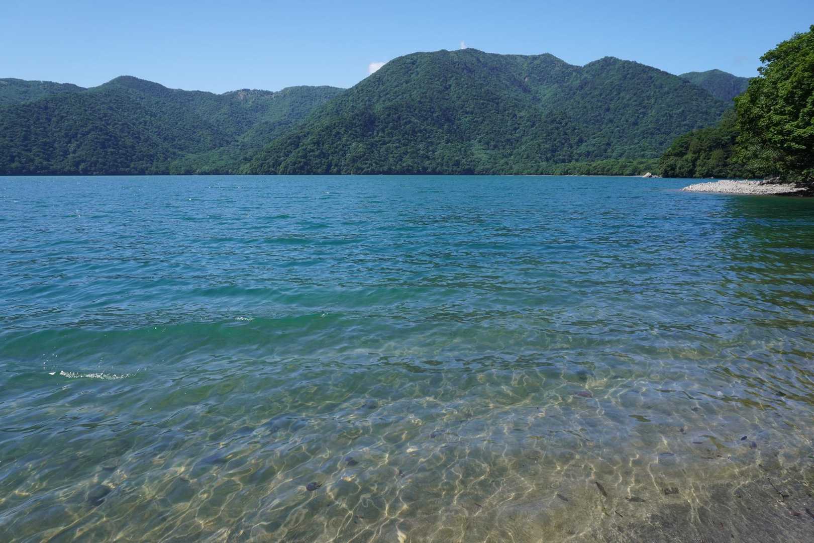 中禅寺湖まで降りてきたけど
水が透明で綺麗〜😍