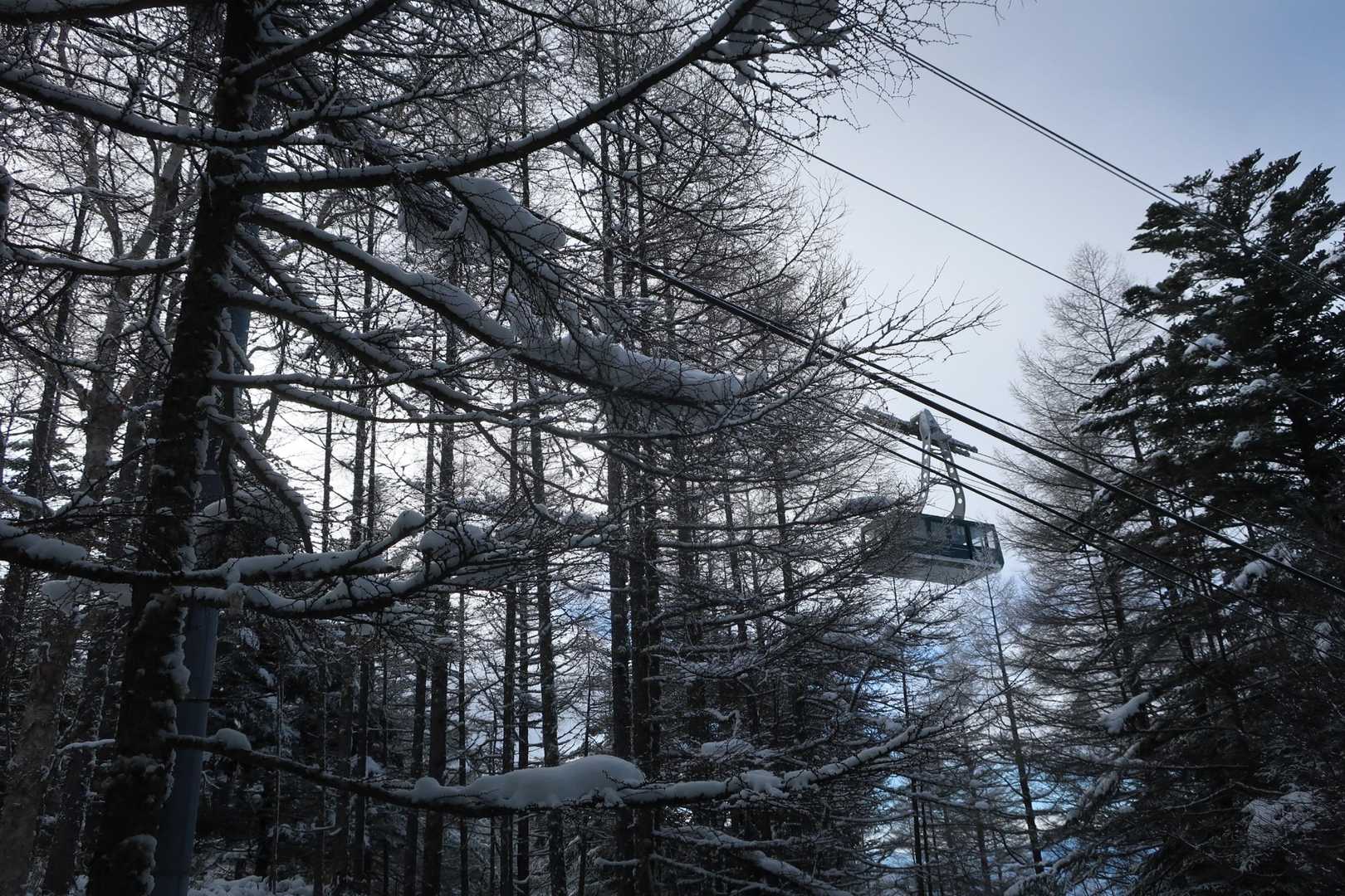 ロープウェイ🚠
満員御礼🈵️🚻のようです😅