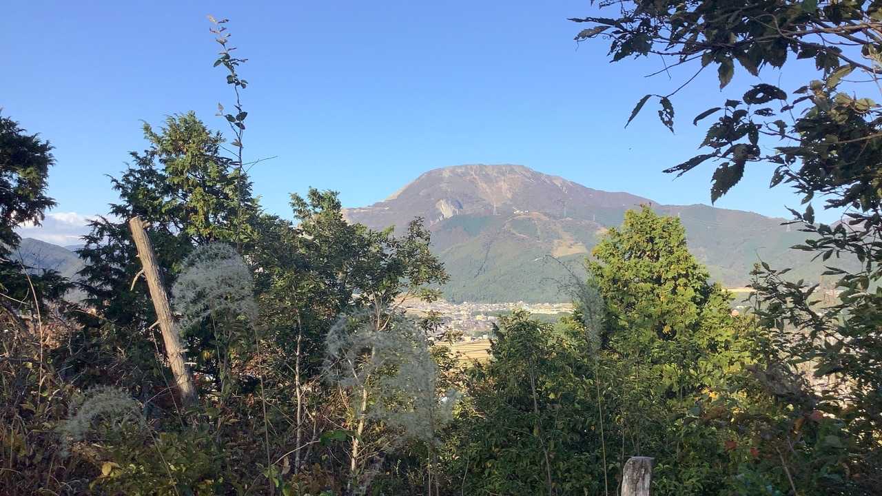 源氏山山頂からの伊吹山…。
見通しが悪い😢あくまでも伊吹山を眺めるなら三島池からがいいですね😉
山頂あたりはやや荒れ気味でした。展望台もありましたが、草に覆われてあまり見渡せません。このカットが一番伊吹山が見えるカットになります。