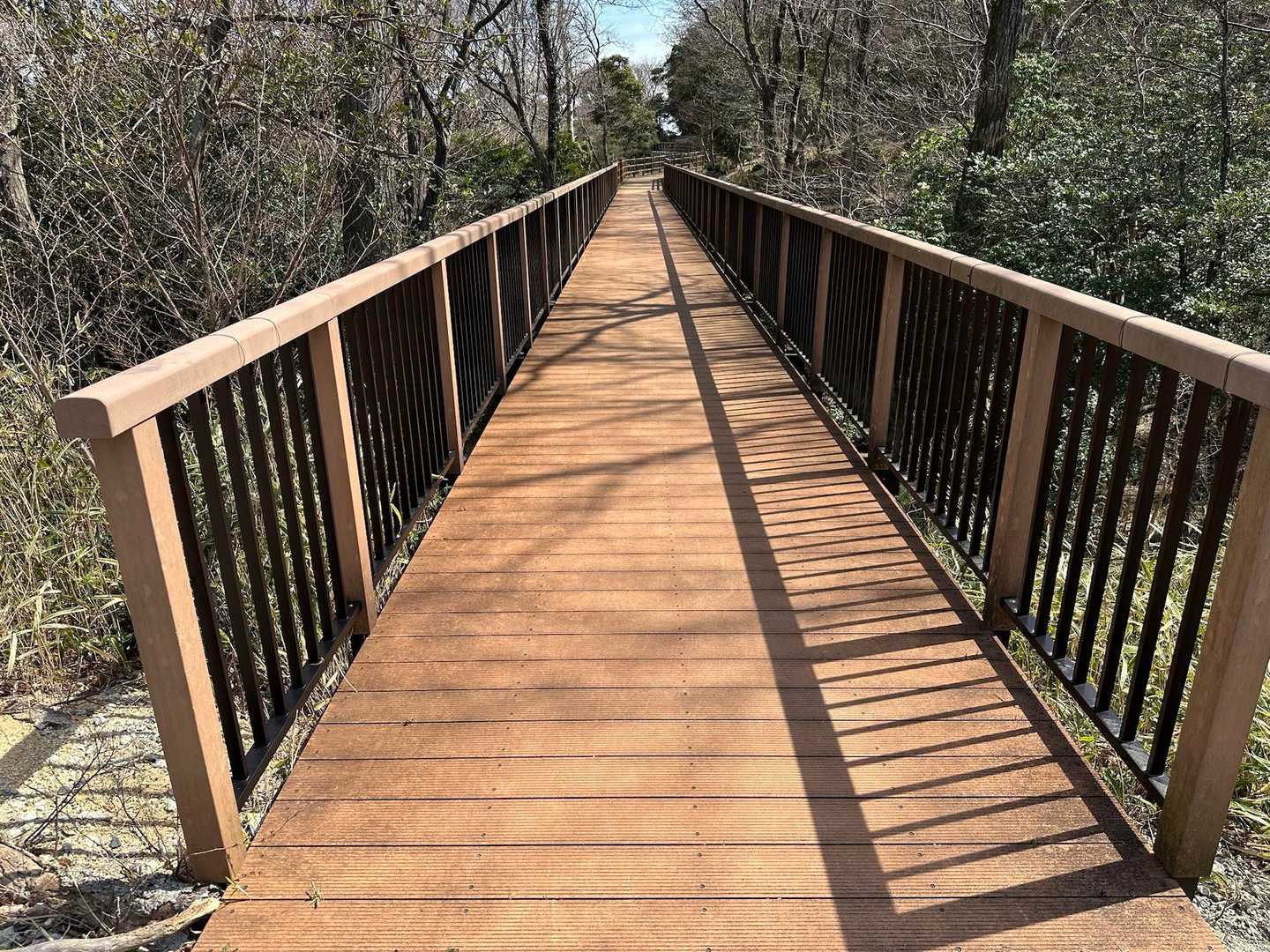 いざ入山💪
先にミツマタ見に行きます。この遊歩道の奥がミツマタポイント。
山に登らなくてもミツマタ見物は出来ます。