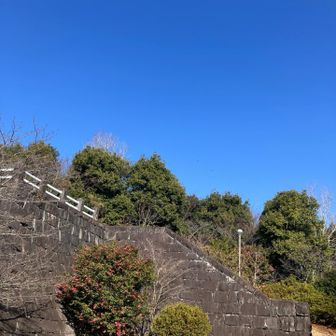 山頂⛰️展望所へ登ってゆく🚶💦… この石垣は　熊本城🏯と同じ石垣🧐