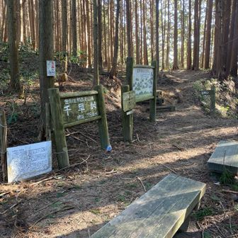 初めての千早峠
1863年に天誅組が駆け降りた道だとかなんとか
1日で大義名分を失って暴徒と認定されて追討ちされたとかなんとか書いてました