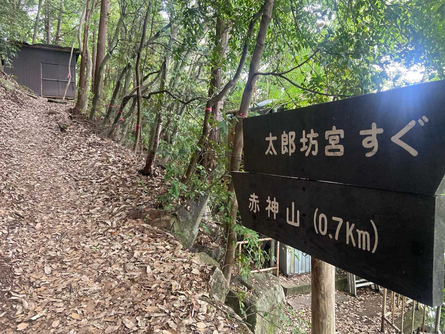 気持ちいい登山道