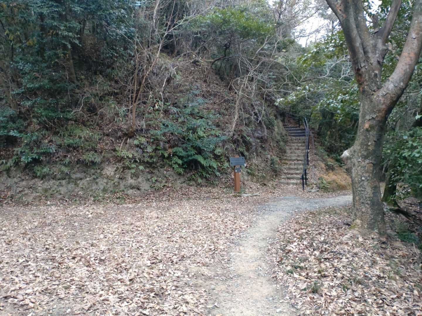 次の階段へ