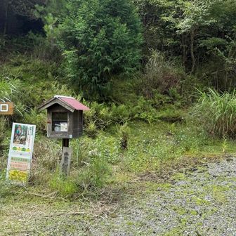 西米良側の登山口まで下りてきました