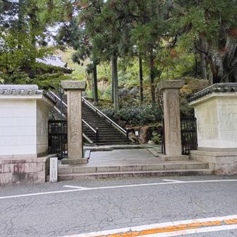 天上寺の門にゃ