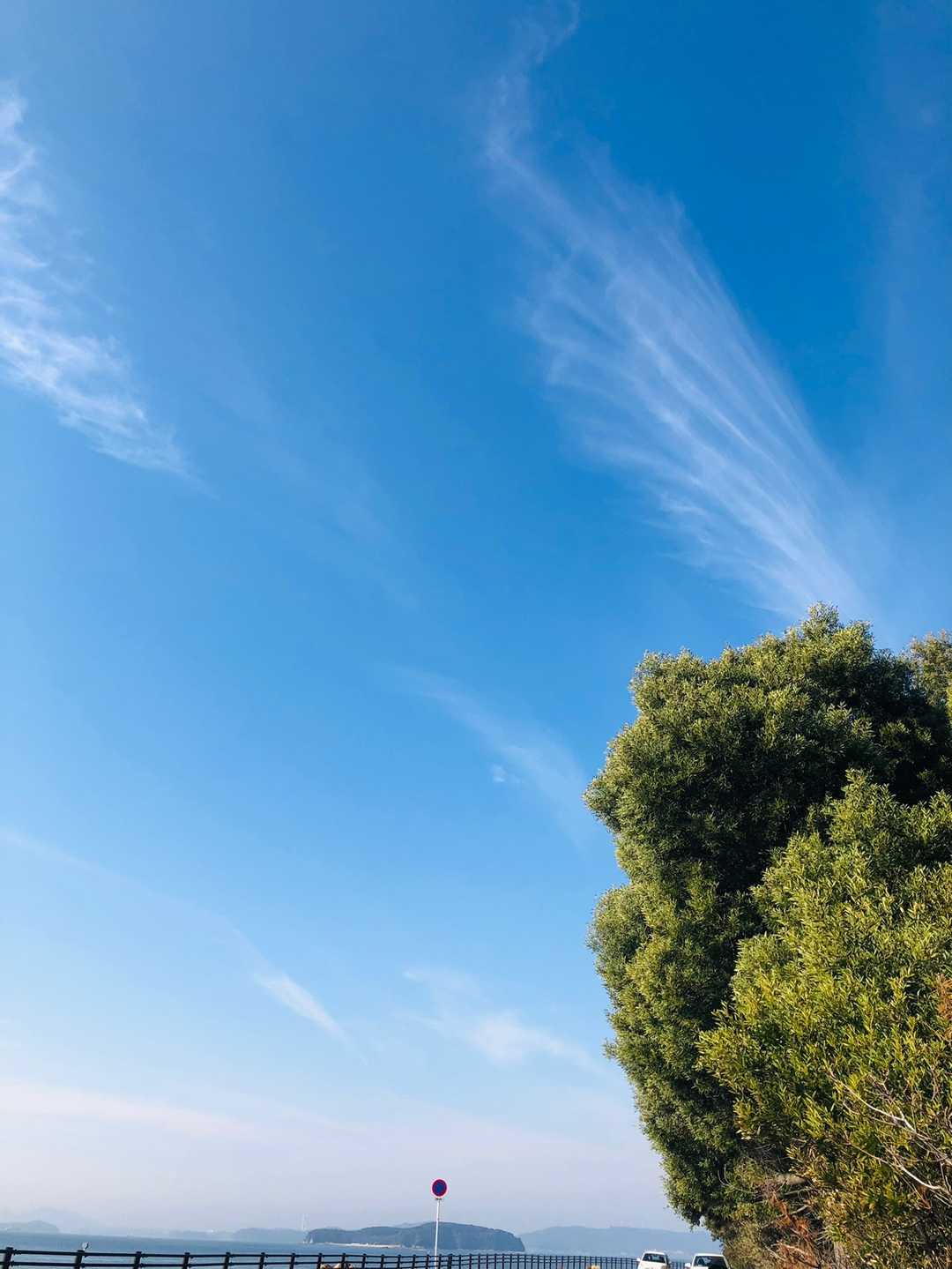 空が綺麗
