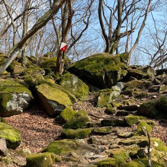 注意⚠️
❌
と思ったけど、エックス❌みたい。