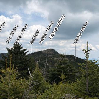 反対から八経ヶ岳を望む