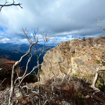 後傾から本傾の横顔を。