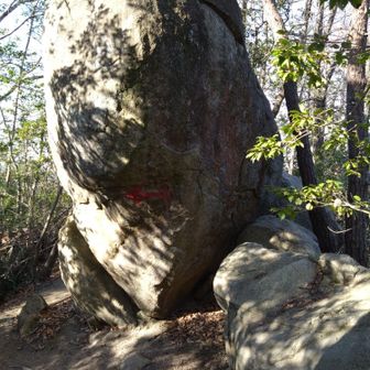 この巨石なにかの顔に見えた😆