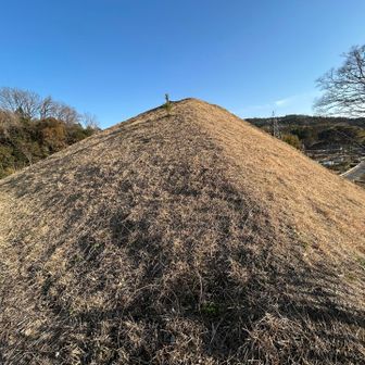 まだまだ奈良には知られざるいいところが沢山あることを実感した一日となりました🎶
