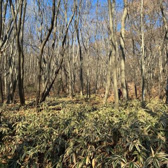 日差しは強い☀️