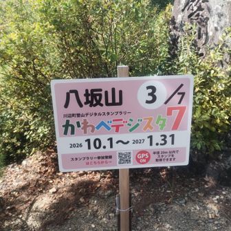 これで川辺デジスタ7達成しました。