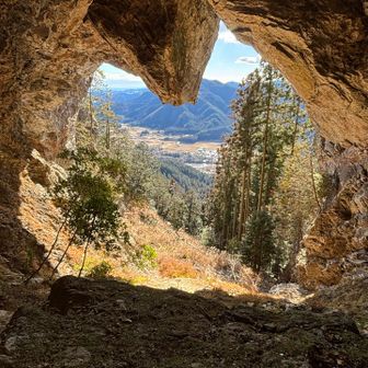 遠目で写真…ネコの顔っぽくなります