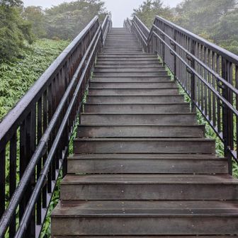 最後の登り。