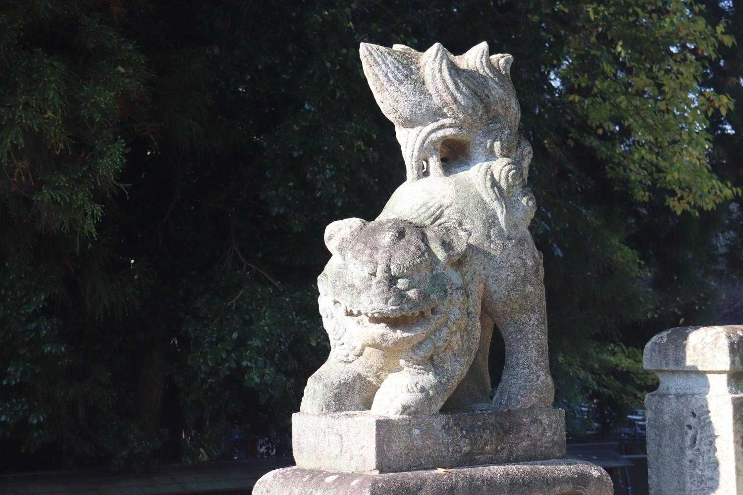 ワン🐺