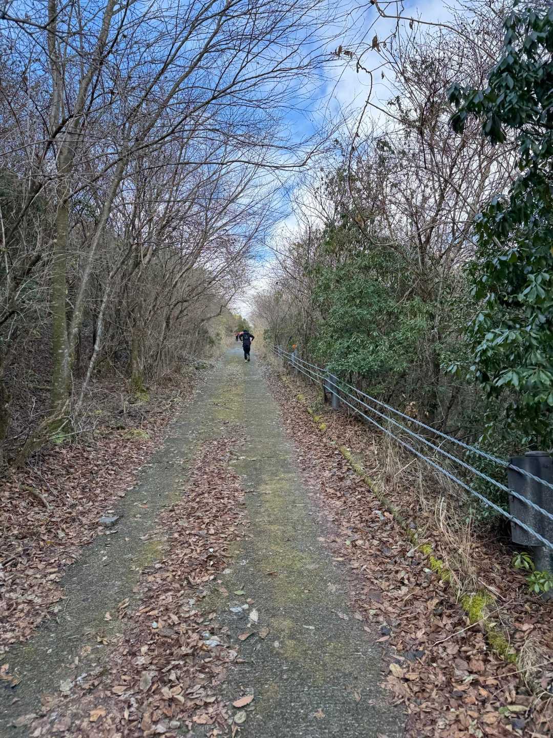 先頭の方は坂道歩かない。ここは流石に走れない激坂で皆んな歩く。