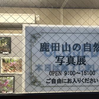 誰も居ないが、まだ入れるね。