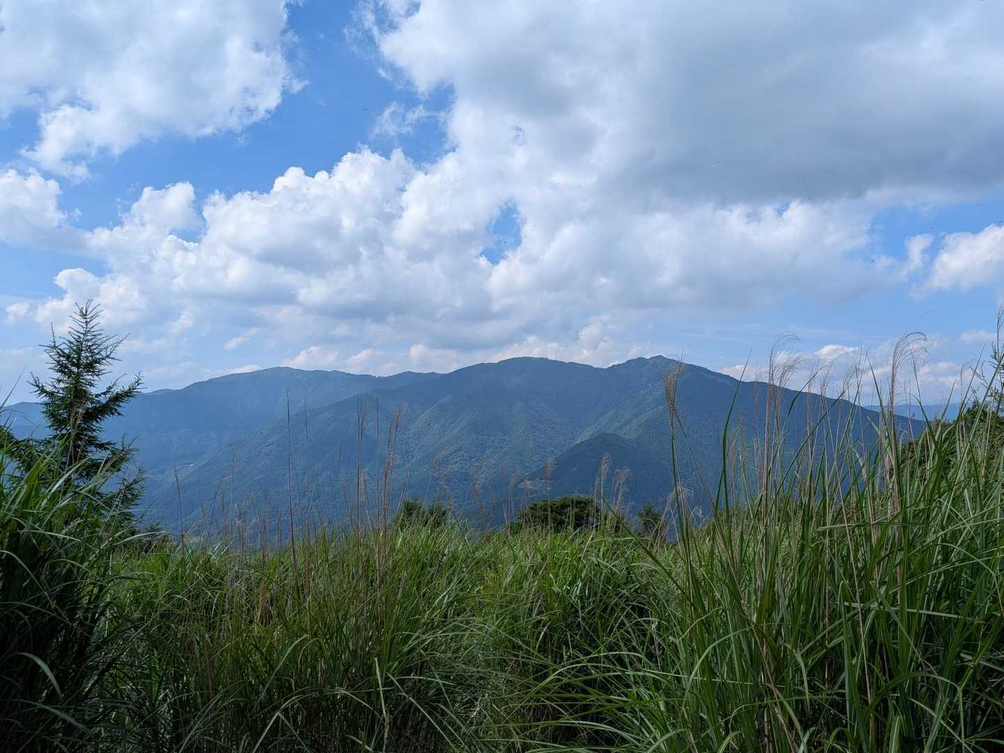 山頂からの眺め