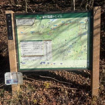 無事箱根トレイルって金時山までなのね！
全長43キロだから今日はその半分くらい😂