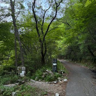 広河原
ここから本格的になります