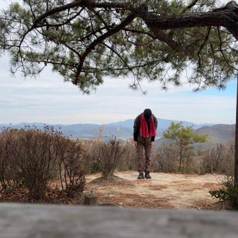 絵文字とコメントを下さった皆さん、今年1年ありがとうございました🙇‍♂️