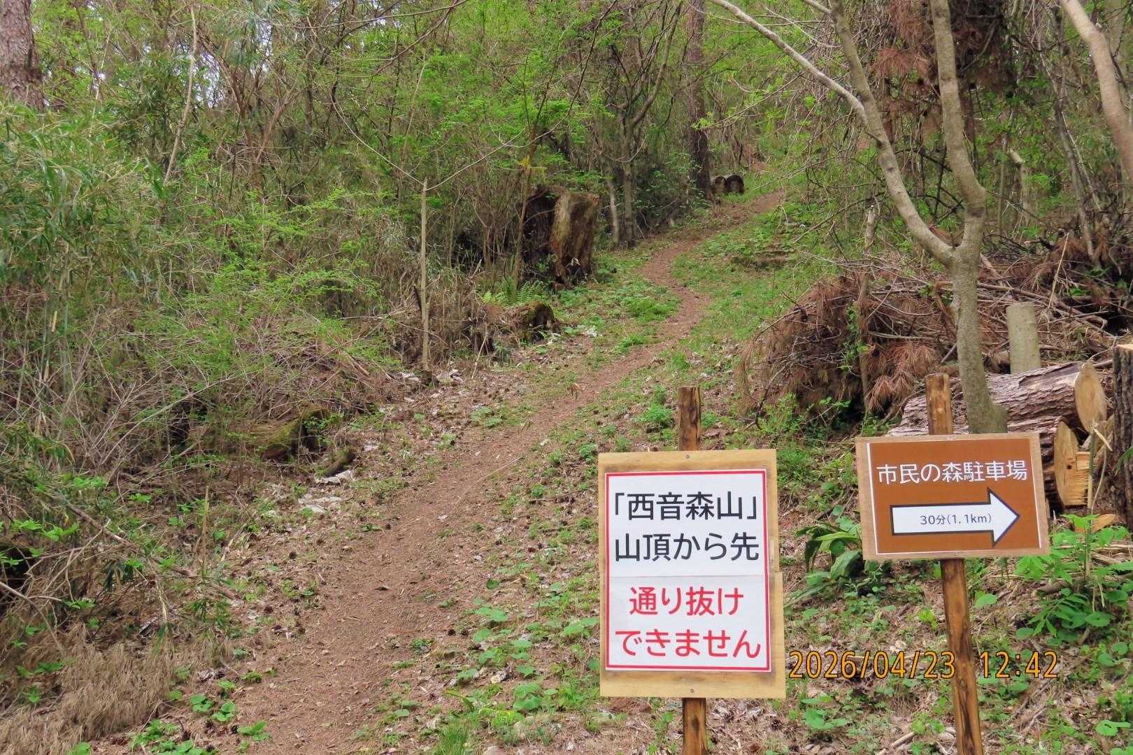 音森山にはここ、こかげ広場からしか行けなくなりました😢
行きます。