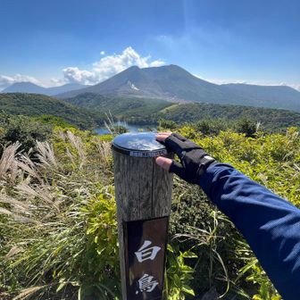 タッチ✋