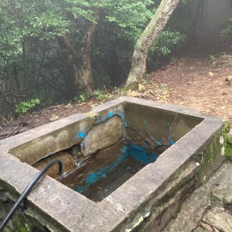 水場は水量少なめ