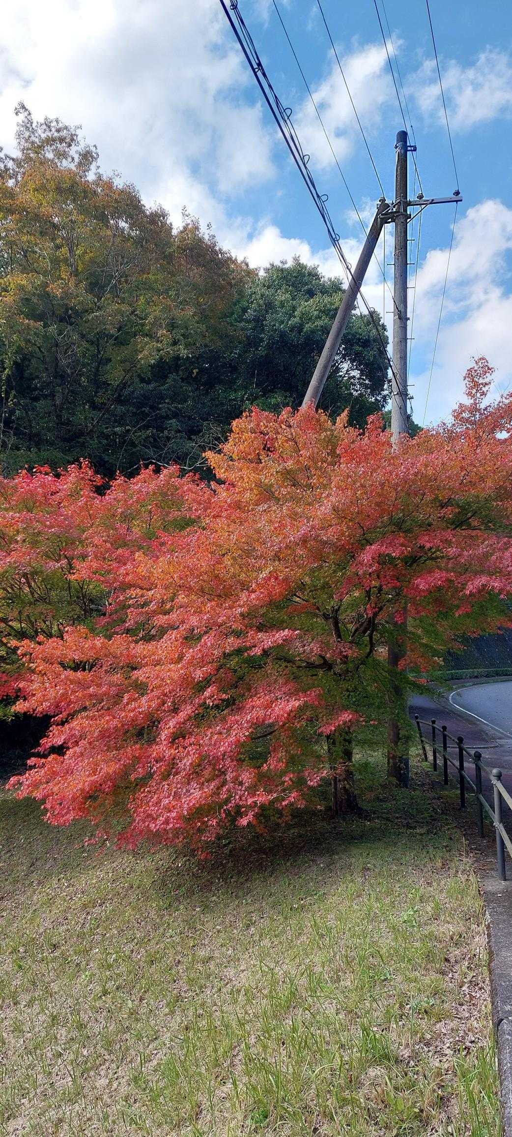 柳生バス停-阿対の石仏-笠置寺-笠置山登山口-笠置駅 縦走コースの写真