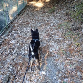 約半年ぶりの愛知130のじろうまる🐕‍🦺コラボ