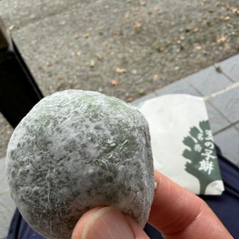 名物　亥の子餅
ヨモギとあんこのハーモニー♪
来年2月で閉店だそうです。
食べられて良かった。