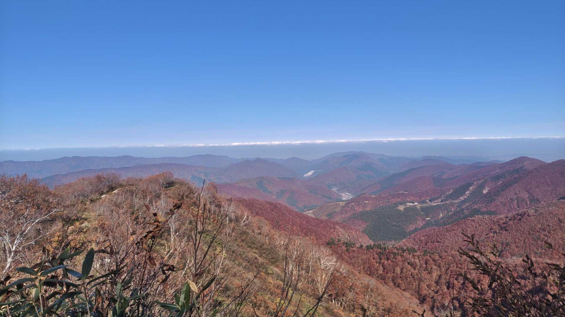栃谷登山口-片折岳-前金剛-中金剛-奥金剛-東俣登山口 周回コースの写真