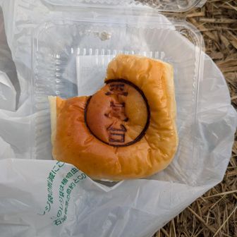 お気に入りの平尾台ぱん。
甘さ控えめのあんことホイップクリームが満載。