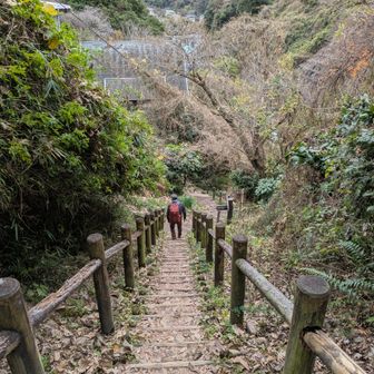 コース全般的に以外とアップダウンあります