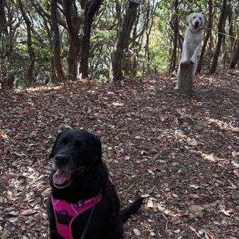 さすがのアズオさん。決まってる👍