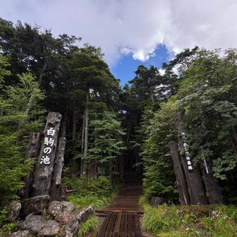 行きに取れなかったので帰りに📸
お疲れ山でしたっ⛰️