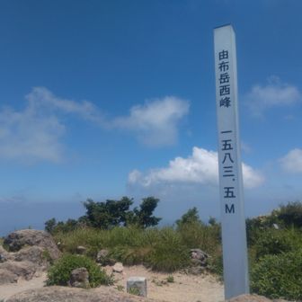 ケイン憧憬