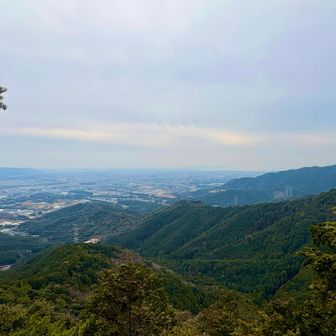 いい景色だねー