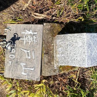 樺戸山　標識