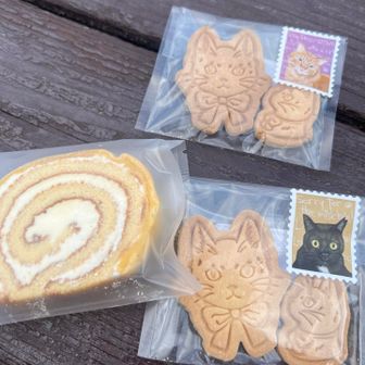 展望台のベンチ
3人でランチ🥪

あーちゃんパパさんから頂きました
猫ちゃん可愛い🐈