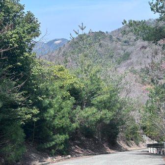 遠くに寝転び場所が見える🧑‍🦲