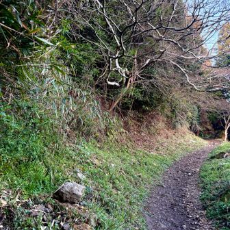前回チェックで、この場所だけでも50匹のマダニが採取された山道。

