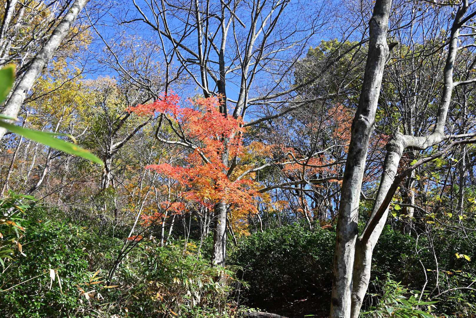 📸きれいです😍