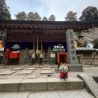 葛木神社⛩️    初詣🎍🎌