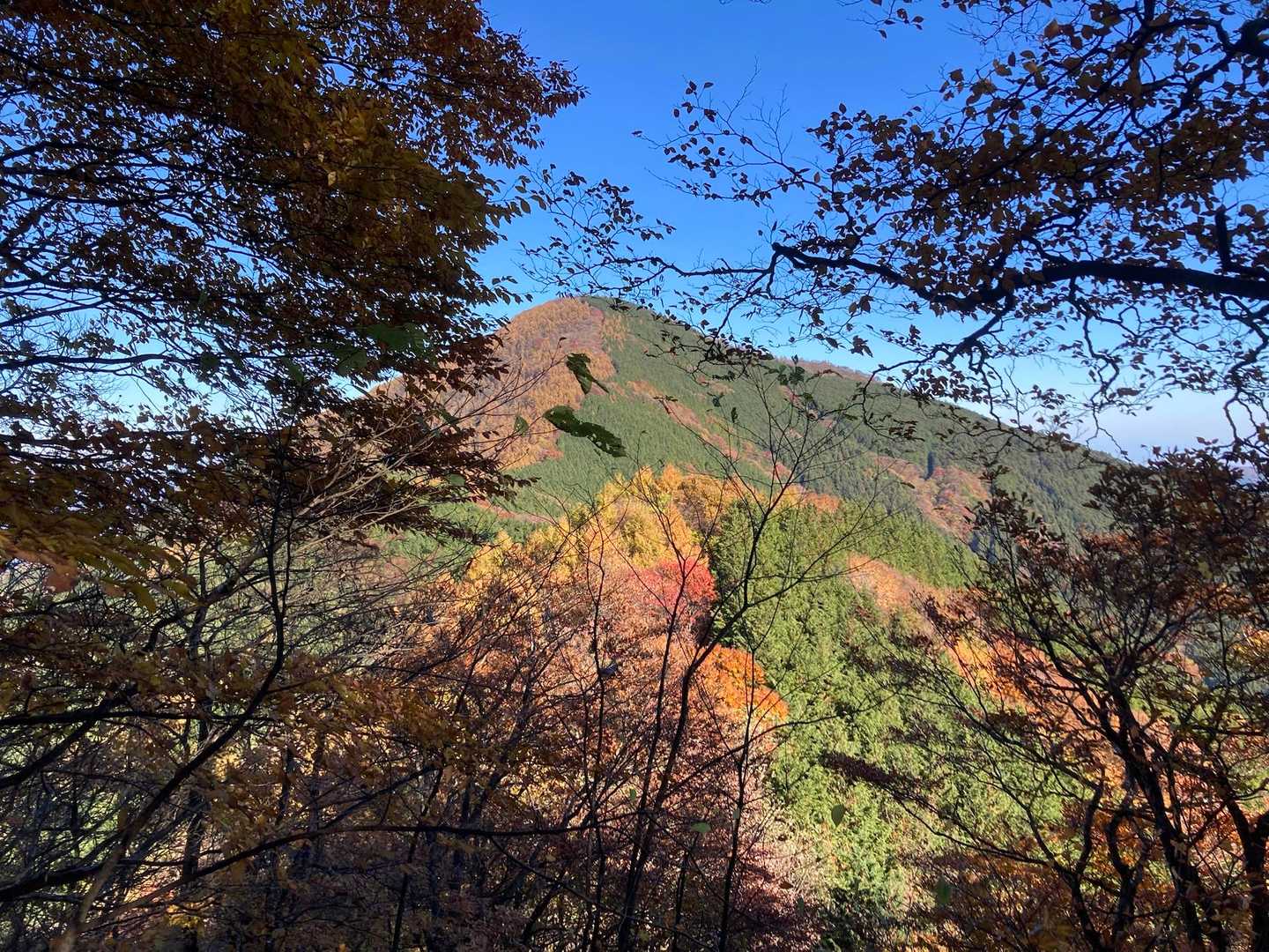 一ノ鳥居-武甲山-子持山-大持山-妻坂峠 周回コースの写真